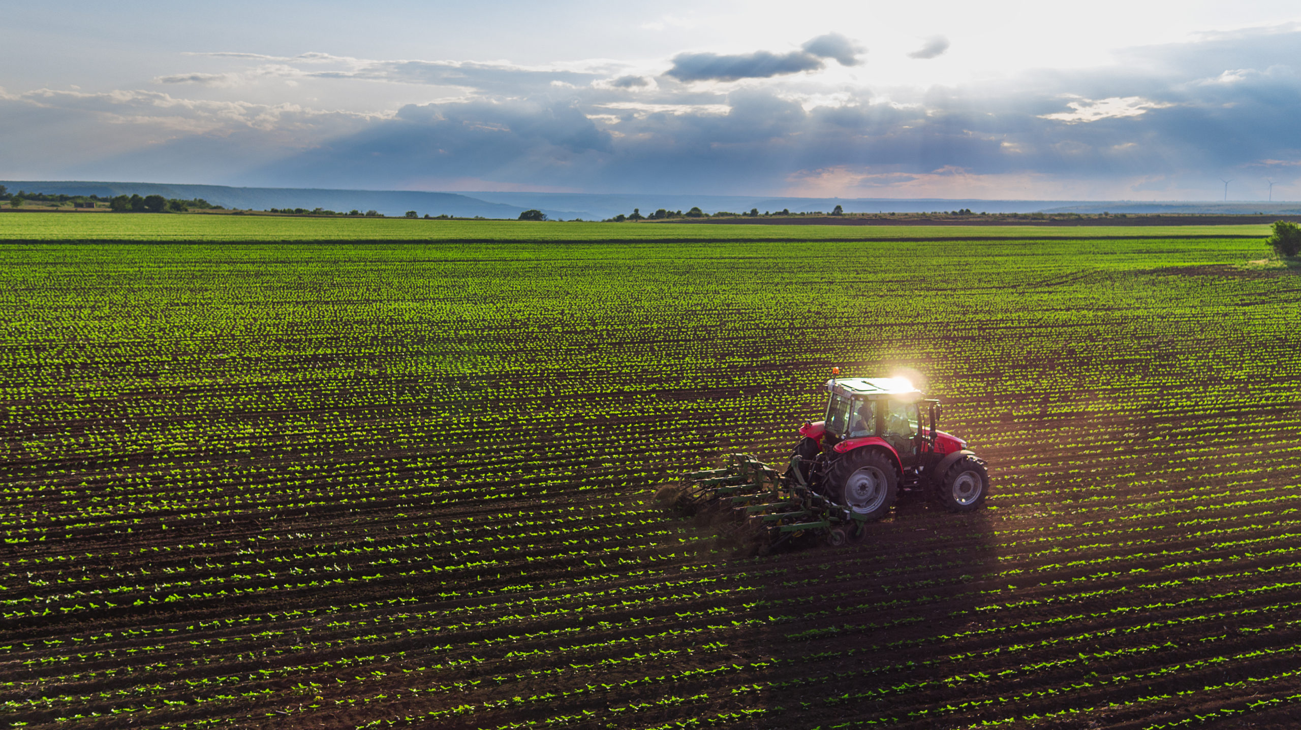 Tractor cultivating field at spring